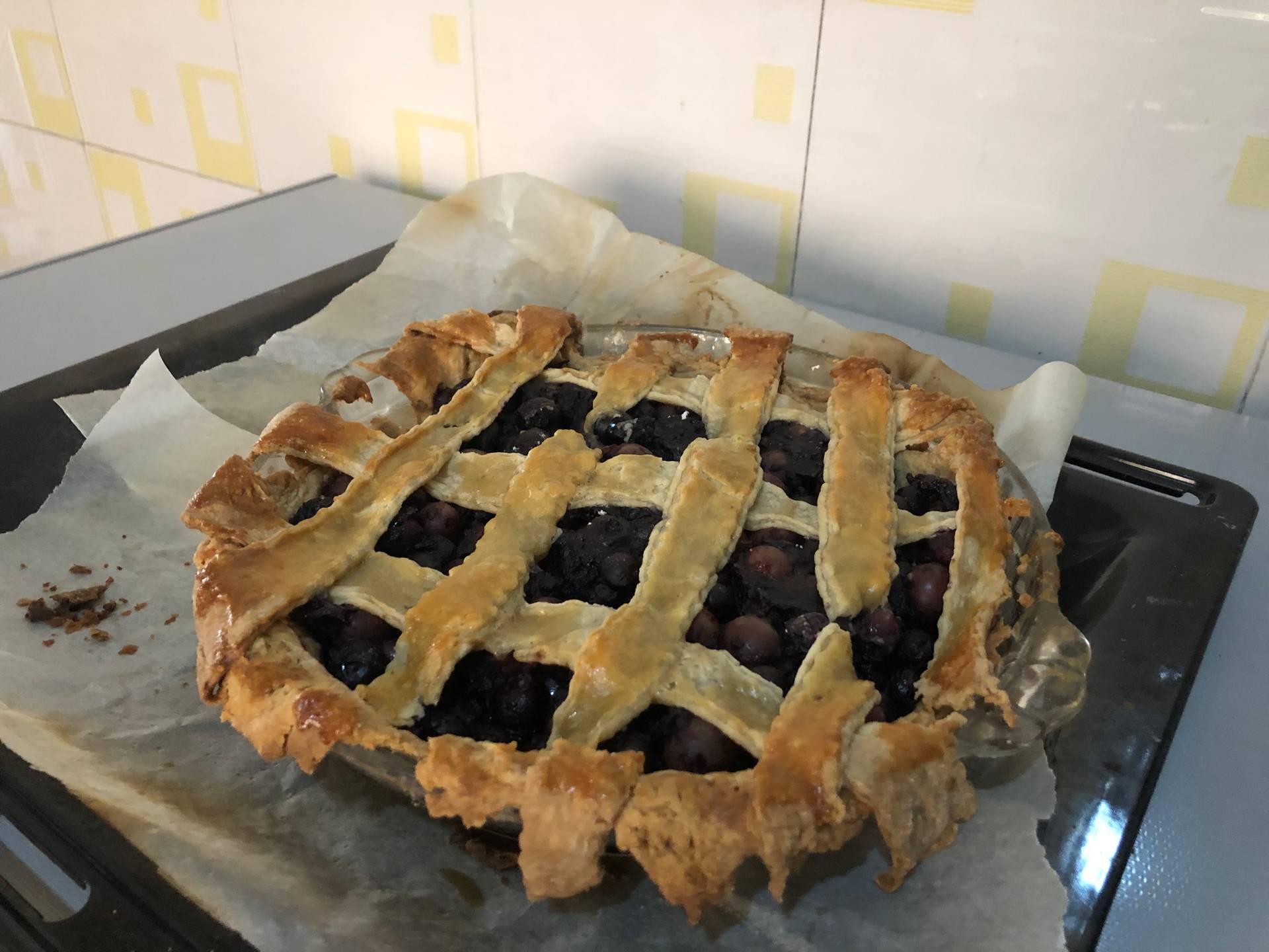 Blueberry and grape pie